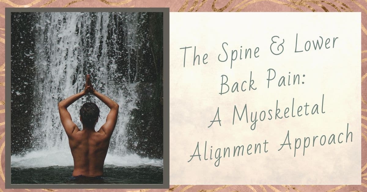 the spine and lower back pain a myoskeletal alignment approach