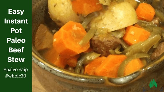 Easy Instant Pot Paleo Beef Stew