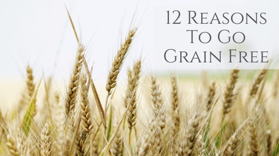 grain free is better than gluten free for leaky gut syndrome