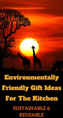 environmentally friendly gift ideas