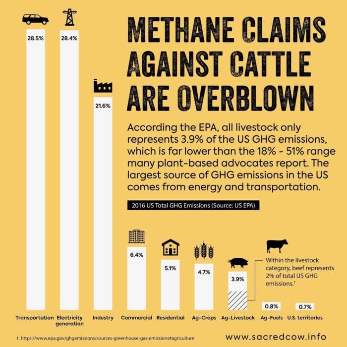 cows and methane