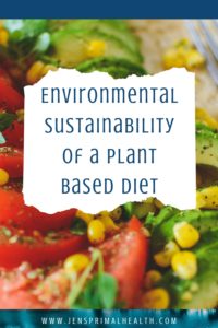Is a plant based diet good for fighting climate change? Is it a sustainable solution to fight global warming?