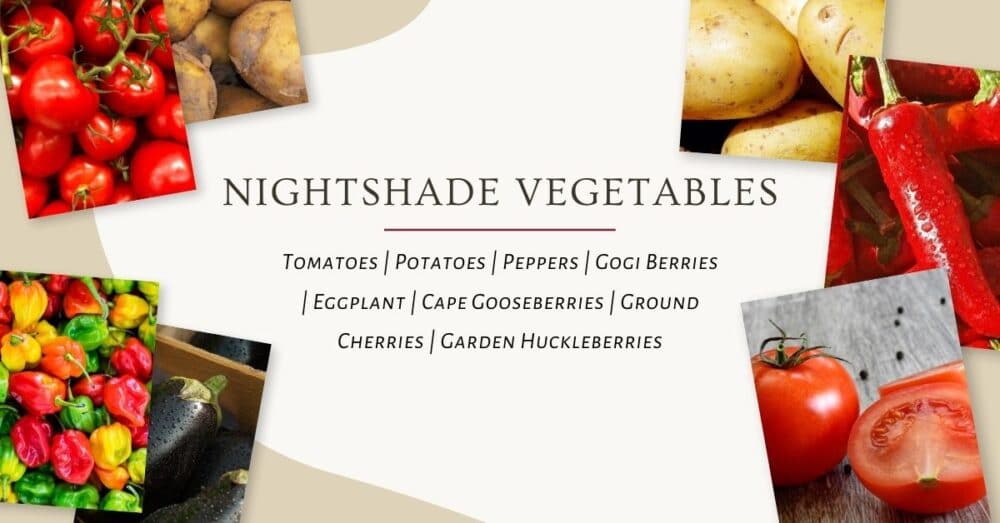 list of nightshade vegetables