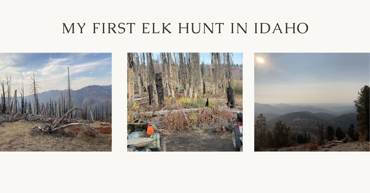 my first elk hunt in idaho