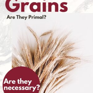 grain free diet, grains with gluten